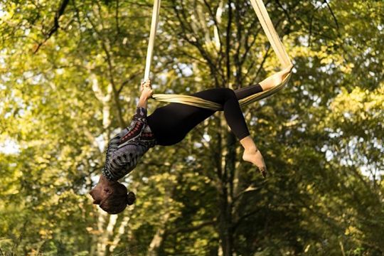Areal Hammock