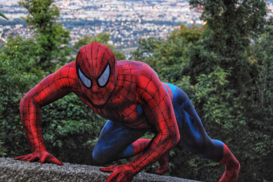 Spiderman Double für Kindergeburtstag
